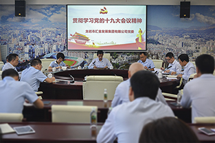 2017110108525245188899257