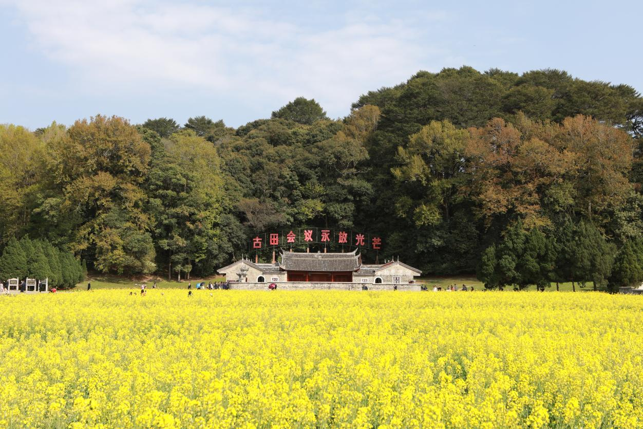 176846842932030551.png 图片1.png